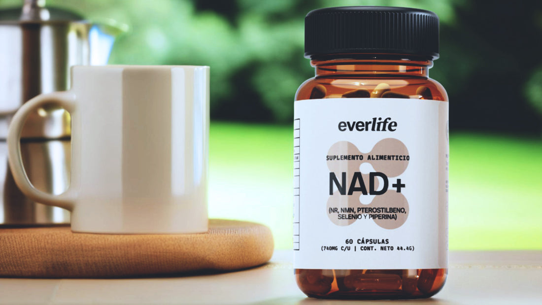 NAD+: Para Qué Sirve y Cómo Funciona