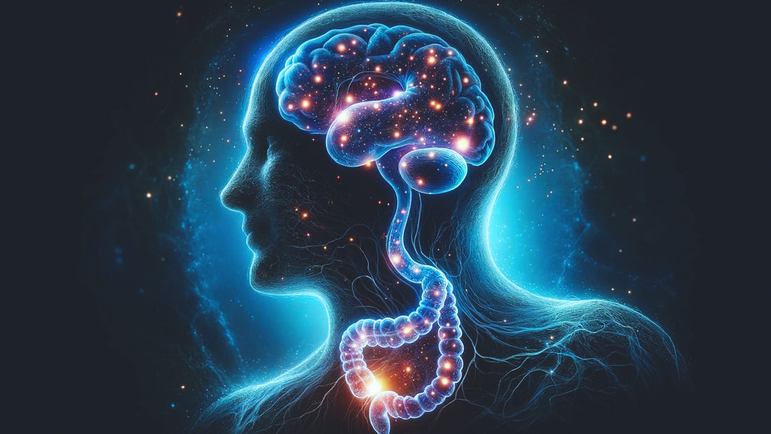 Del Intestino al Cerebro: La Ciencia Detrás de tu Bienestar